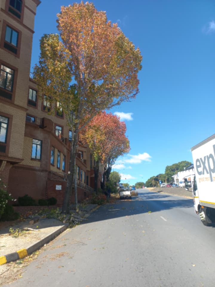 Operational site view